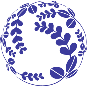 Las mejores escuelas de odontología del mundo. Las mejores escuelas de odontología del mundo.