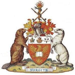17 mejores universidades de criminología y justicia penal en Ontario 17 mejores universidades de criminología y justicia penal en Ontario