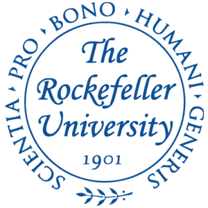 Las mejores universidades de neurociencia del mundo. Las mejores universidades de neurociencia del mundo.