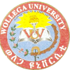 Lista de las 35 mejores universidades de Etiopía Lista de las 35 mejores universidades de Etiopía