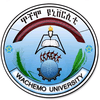 Lista de las 35 mejores universidades de Etiopía Lista de las 35 mejores universidades de Etiopía
