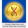 Lista de las 20 mejores universidades en Kerala Lista de las 20 mejores universidades en Kerala