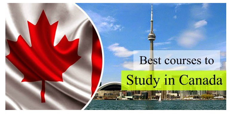 Los mejores cursos en Canadá para estudiantes internacionales. Los mejores cursos en Canadá para estudiantes internacionales.
