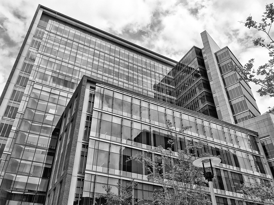 Universidad Tio de Ciencias Aplicadas, Países Bajos