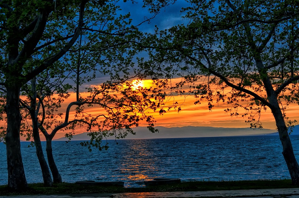 Becas de la Universidad Anglia Ruskin para estudiantes internacionales Becas de la Universidad Anglia Ruskin para estudiantes internacionales