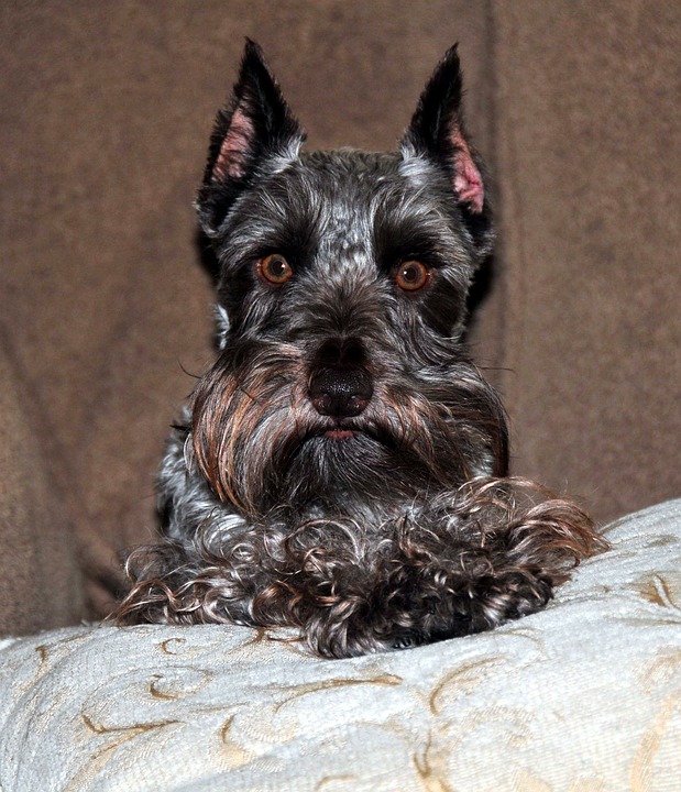 18 mejores universidades de medicina deportiva en Massachusetts 18 mejores universidades de medicina deportiva en Massachusetts