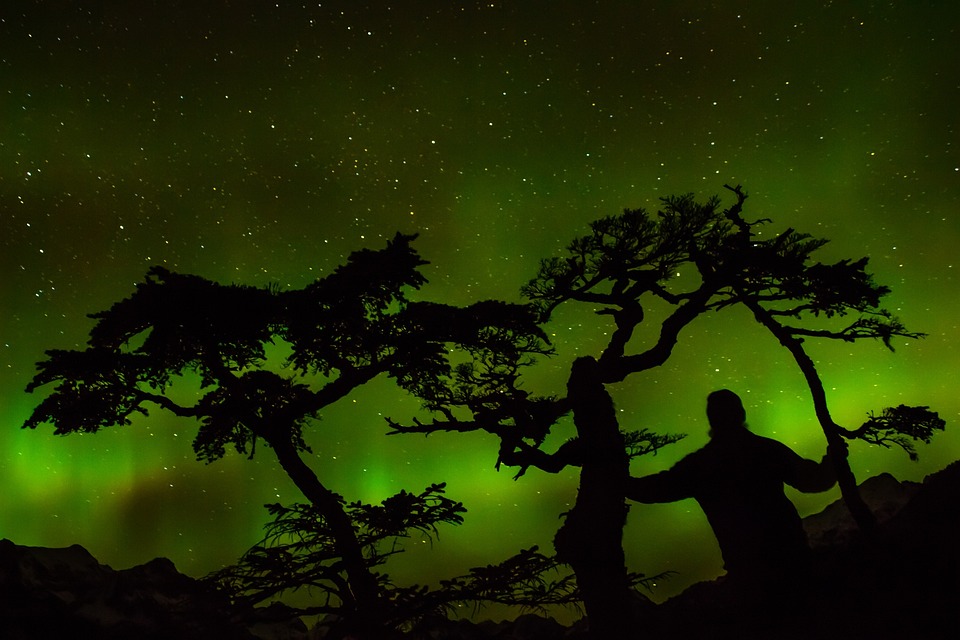 Los 6 colegios y universidades en Winnipeg, Manitoba