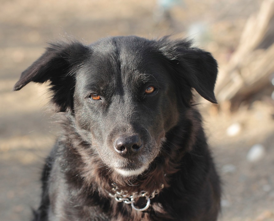 11 mejores universidades de enfermería en Filipinas 11 mejores universidades de enfermería en Filipinas