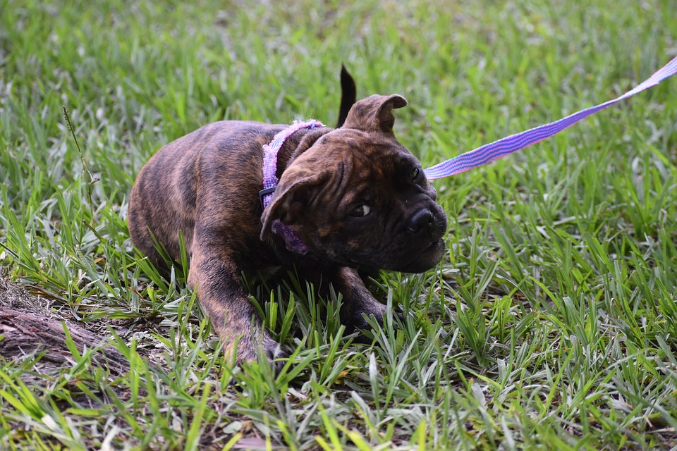 18 mejores universidades de enfermería en Ontario 18 mejores universidades de enfermería en Ontario