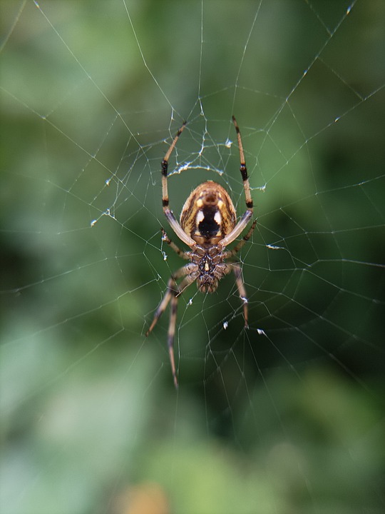 23 mejores universidades de informática en Ghana