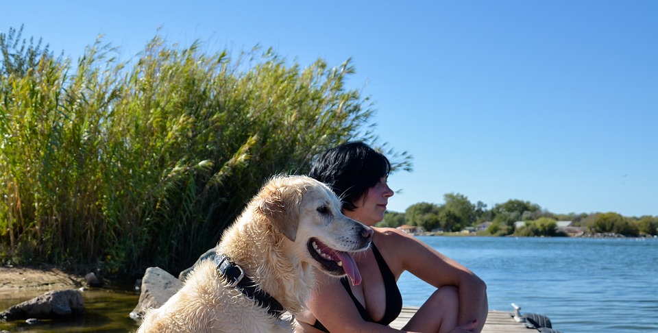 24 mejores escuelas de arte y diseño en Sudáfrica