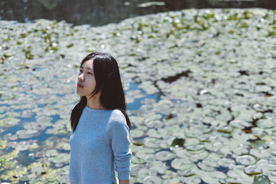 Universidad de Tyndale: matrícula, admisiones Universidad de Tyndale: matrícula, admisiones